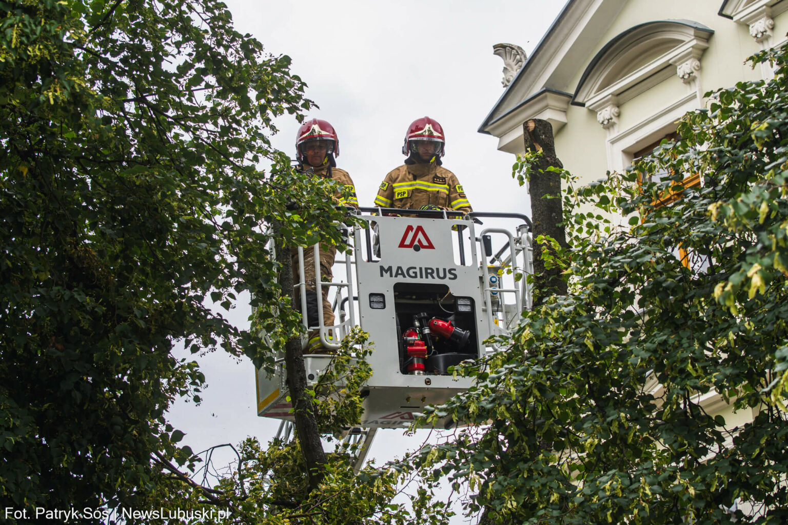 DrzewoZielonaGoraDeptak17.07.25_4 Akcja straż pożarna Zielona Góra - Deptak Zielona Góra