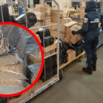 Nielegalny tytoń Zielona Góra - Kontrola sortowni kurierskich