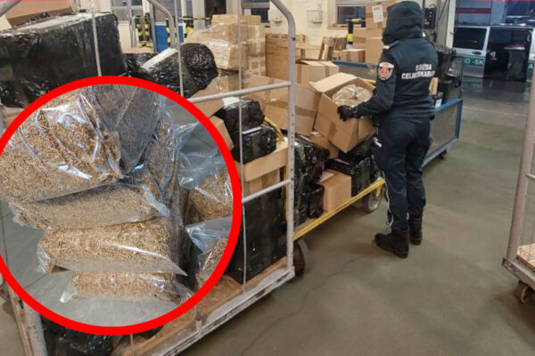 Kolejny nalot KAS w Zielonej Górze. Akcja w sortowniach kurierskich Nielegalny tytoń Zielona Góra - Kontrola sortowni kurierskich