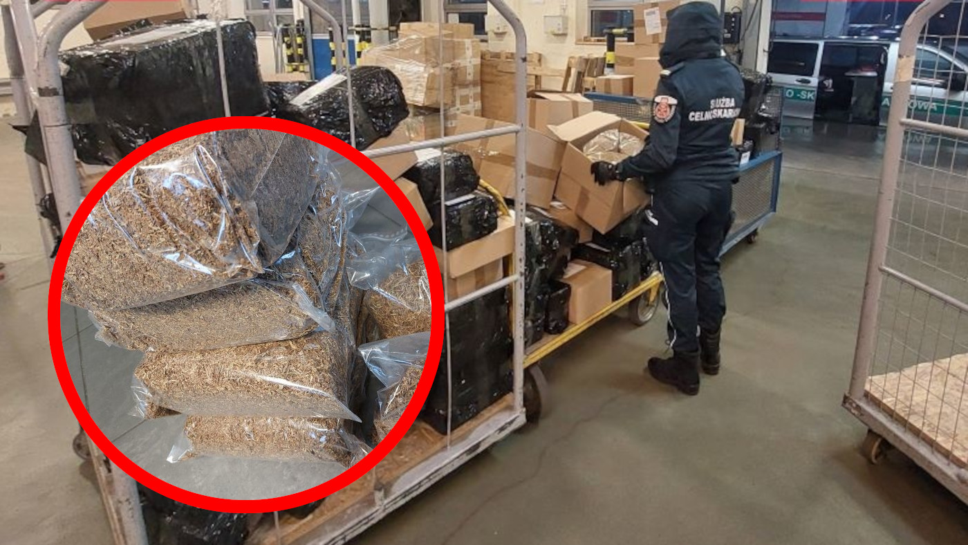 Nielegalny tytoń Zielona Góra - Kontrola sortowni kurierskich