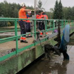 Oczyszczalnia ścieków Zielona Góra - chusteczki nawilżane w kanalizacji