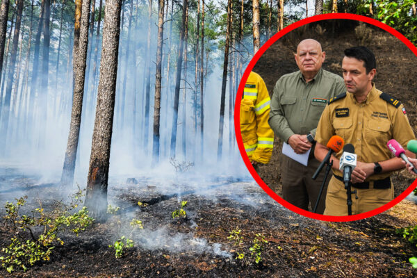 Lasy płoną na potęgę w Lubuskiem. Strażacy i leśnicy biją na alarm Pożary lasów - Straż pożarna Lubuskie