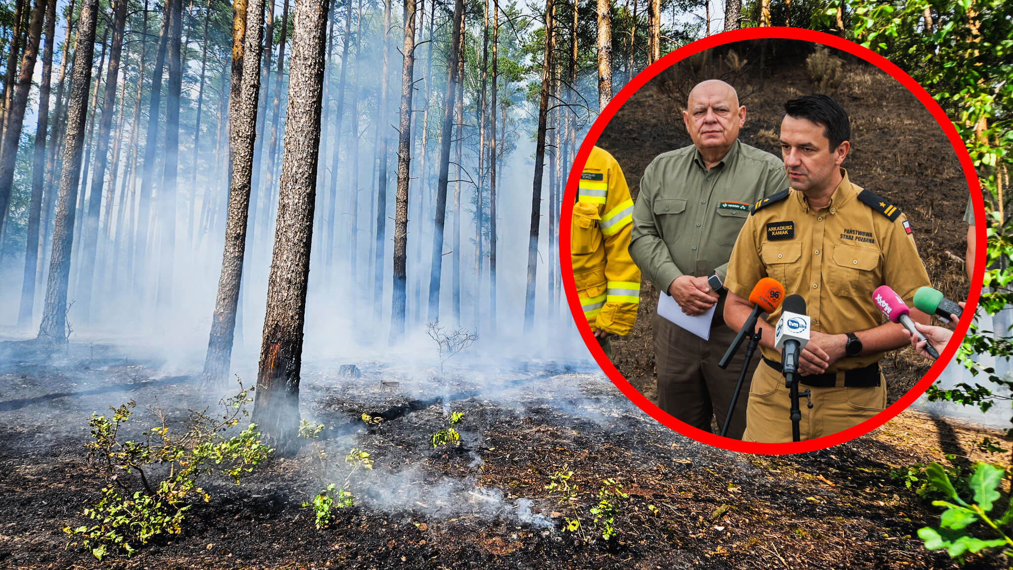 Pożary lasów - Straż pożarna Lubuskie