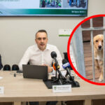 Schronisko Zielona Góra - Urząd Miasta Zielona Góra