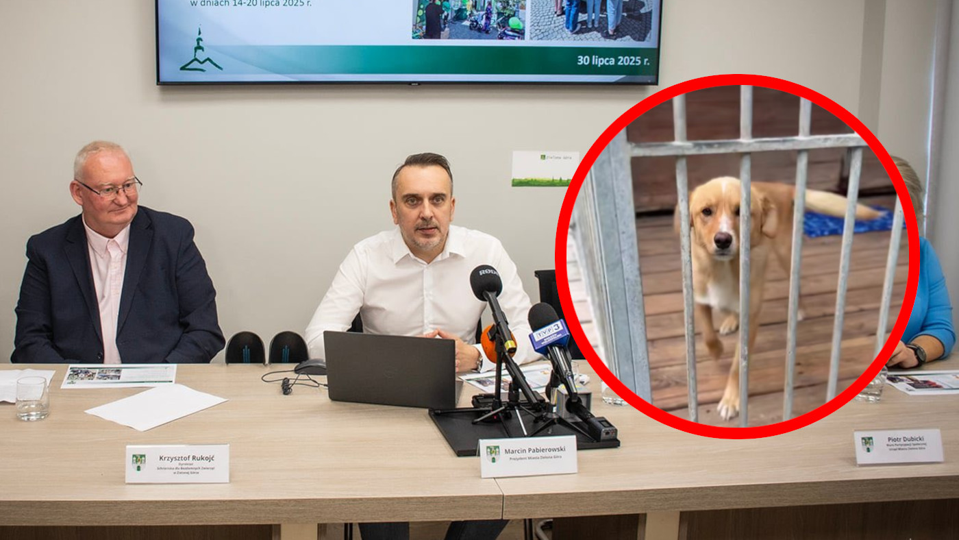 Schronisko Zielona Góra - Urząd Miasta Zielona Góra