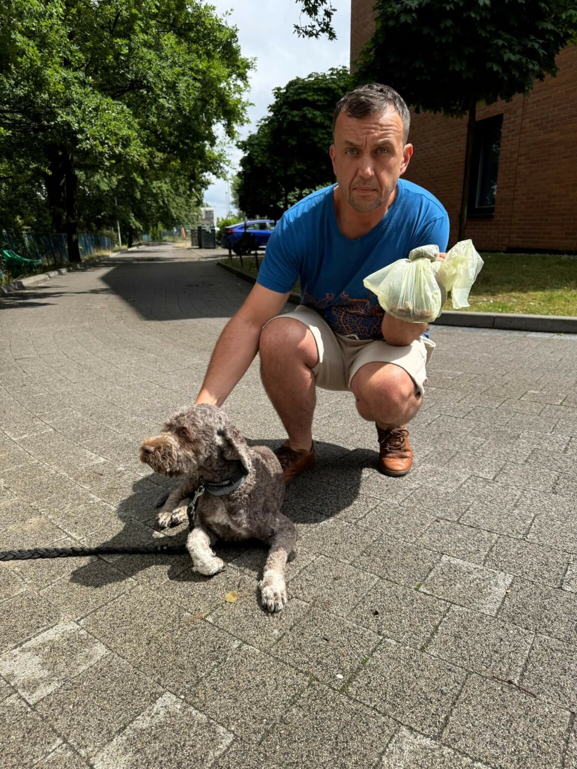 Trutka na psy Zielona G&oacute;ra - Pułapka na psy