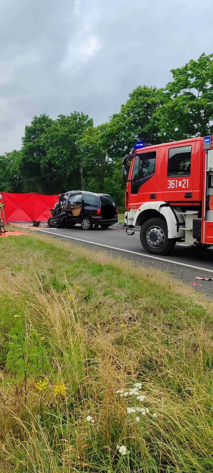 Śmiertelny wypadek na DK32 - Wypadek Pław
