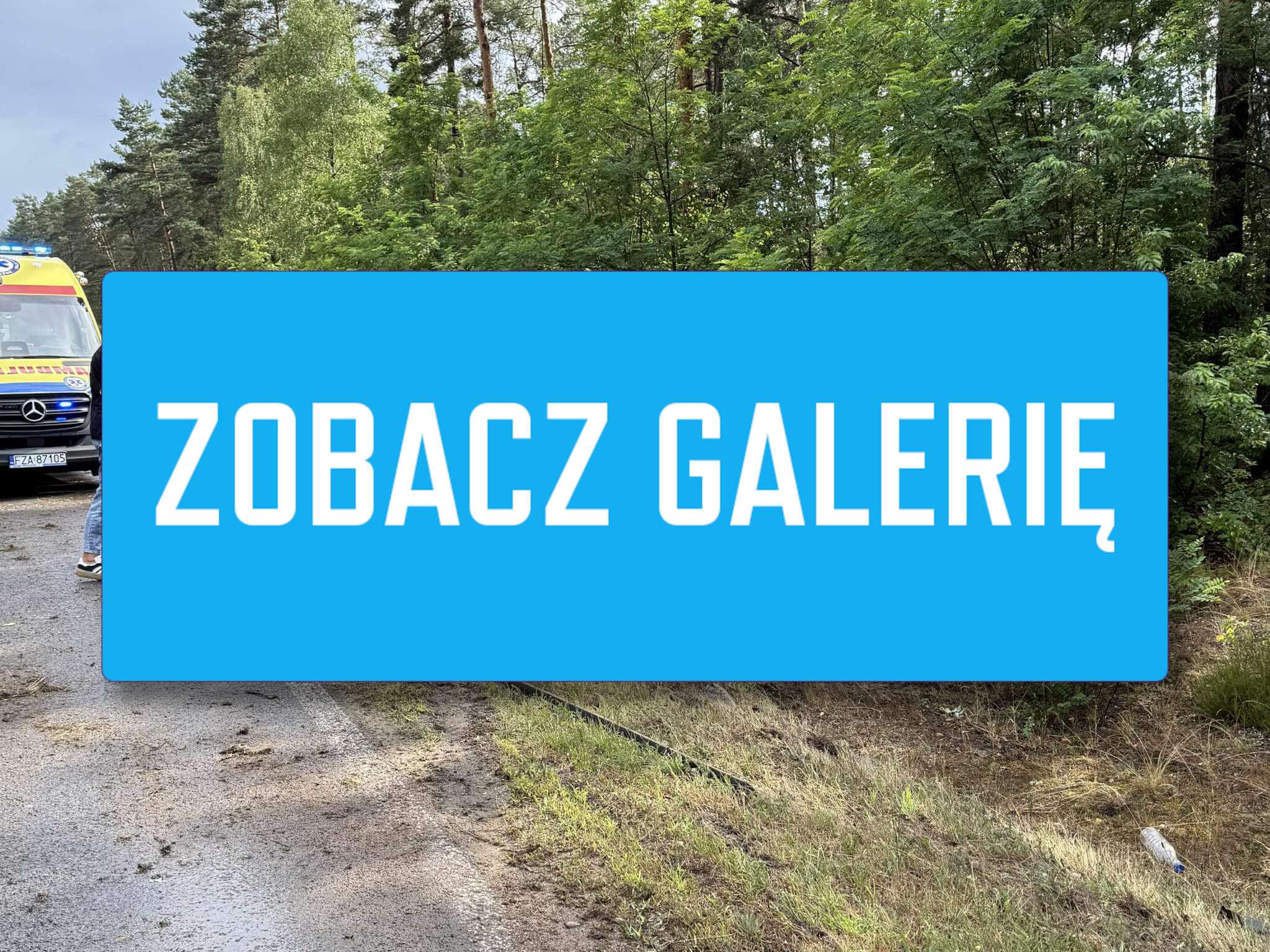 Wypadek Nowogród Bobrzański - Wypadek na DW295