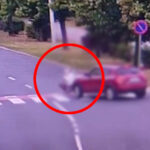 Wypadek Zielona Góra - Potrącenie Zielona Góra