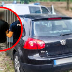 Ukradł auto w Niemczech - Złodziej zasnął w aucie