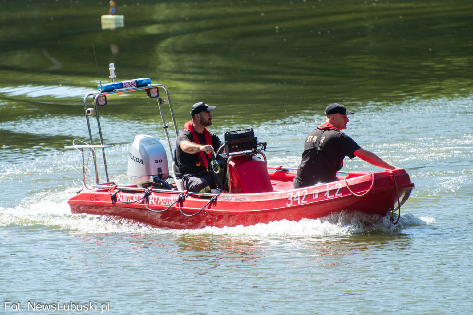 Dzika Ochla Zielona G&oacute;ra - Poszukiwania Zielona G&oacute;ra
