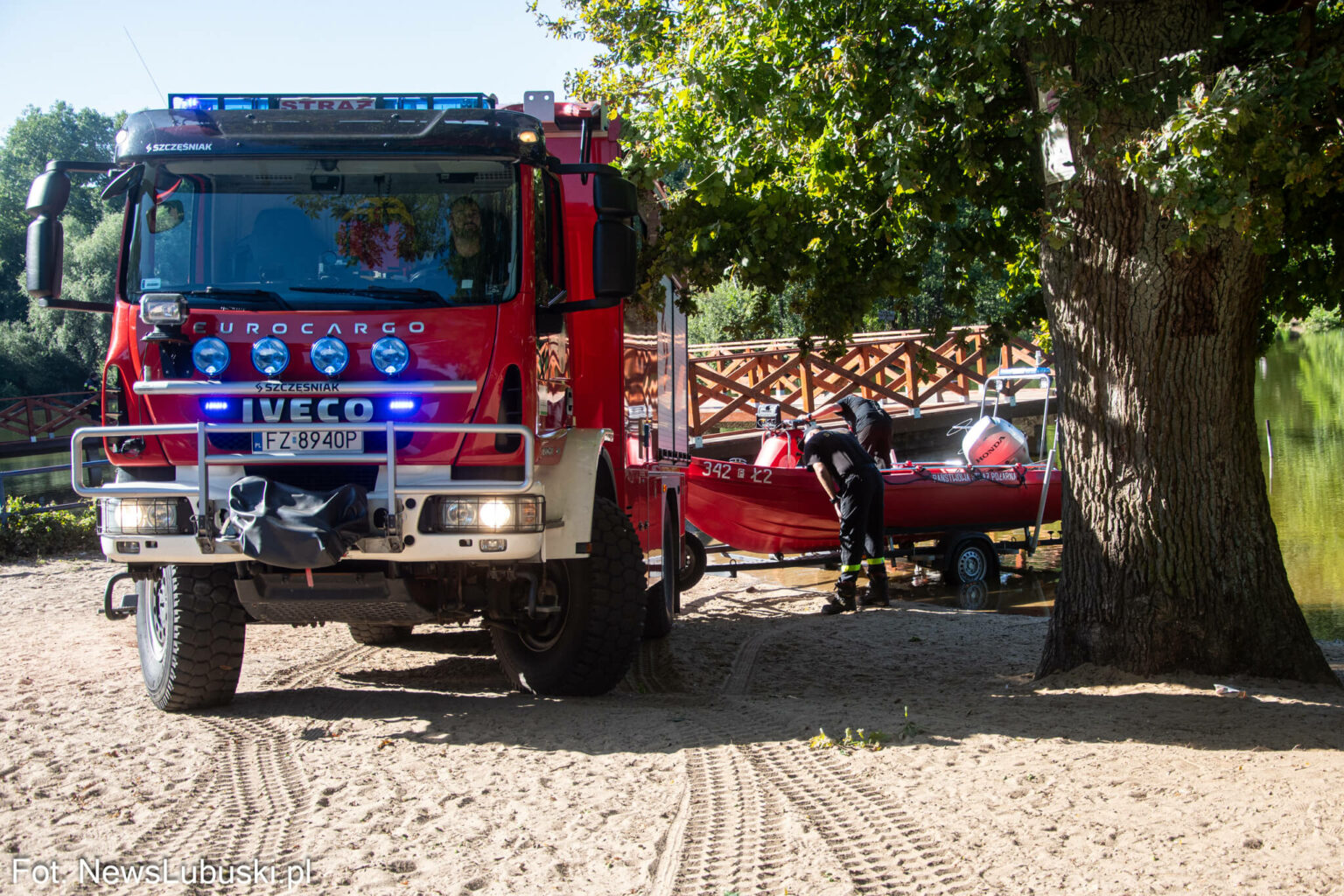 Dzika Ochla Zielona G&oacute;ra - Poszukiwania Zielona G&oacute;ra