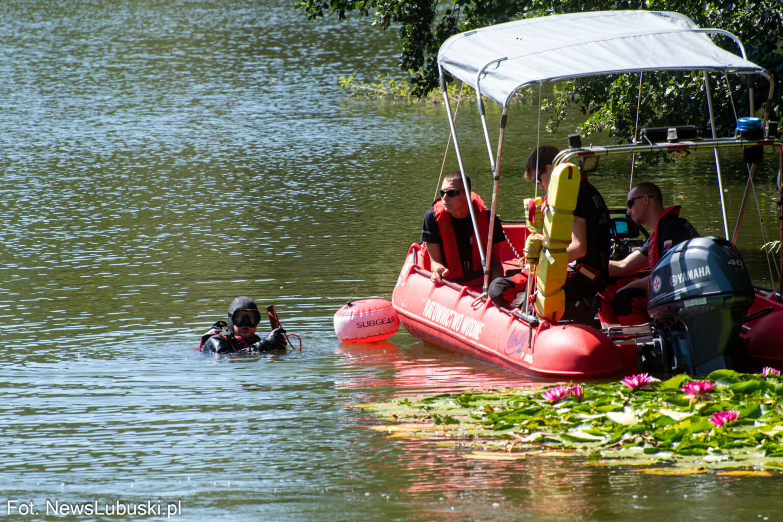 Dzika Ochla Zielona G&oacute;ra - Poszukiwania Zielona G&oacute;ra