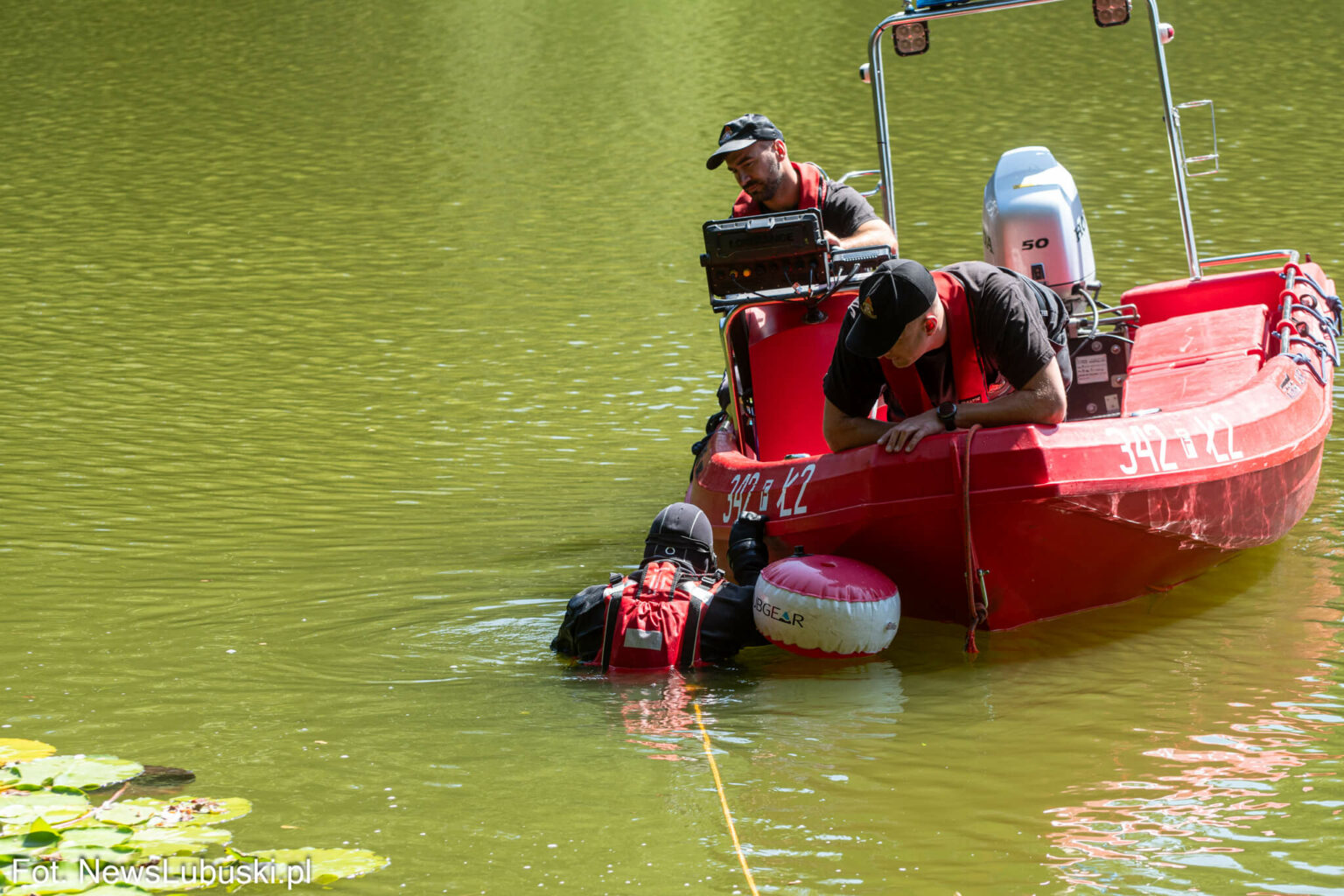 Dzika Ochla Zielona G&oacute;ra - Poszukiwania Zielona G&oacute;ra