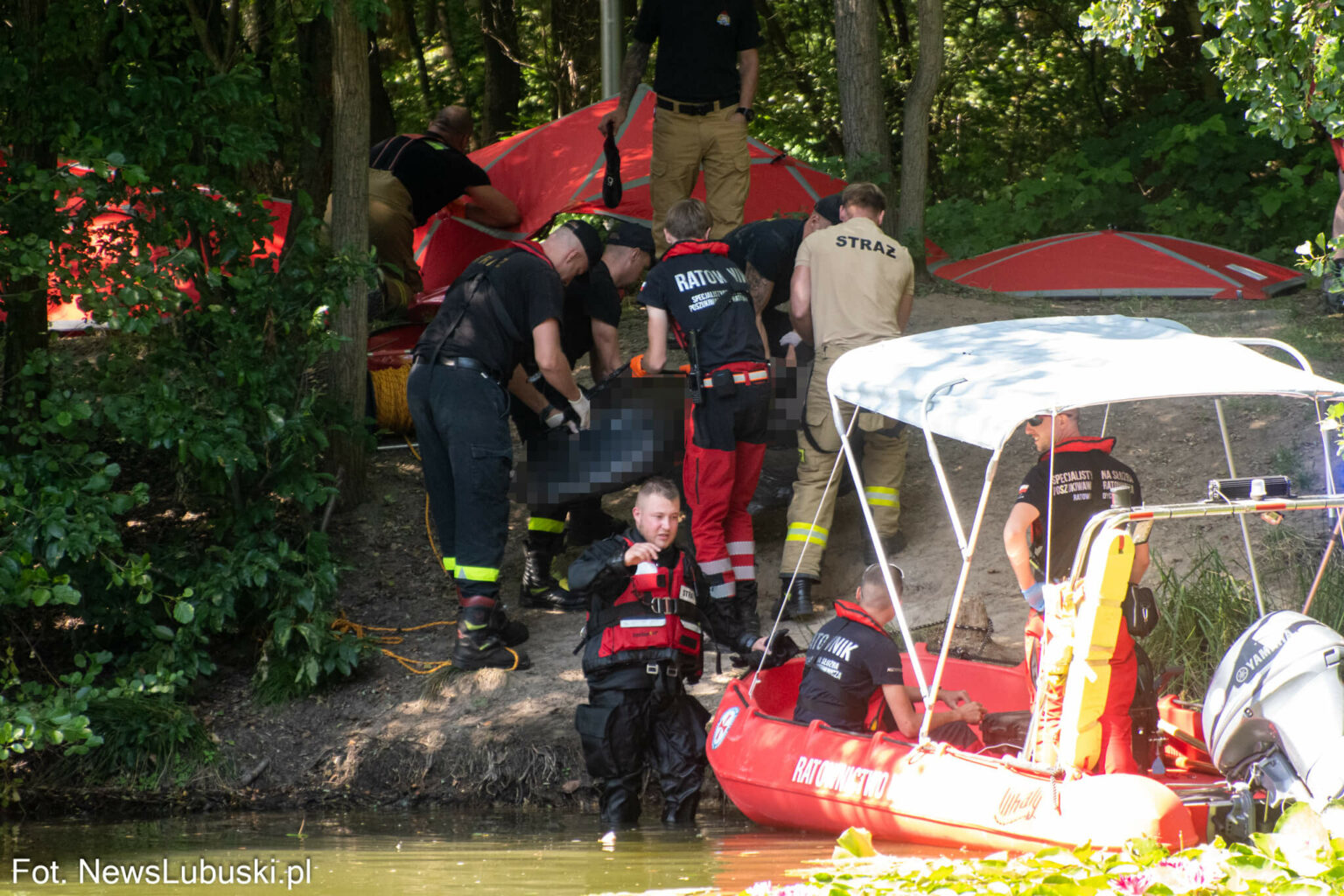 Dzika Ochla Zielona G&oacute;ra - Poszukiwania Zielona G&oacute;ra