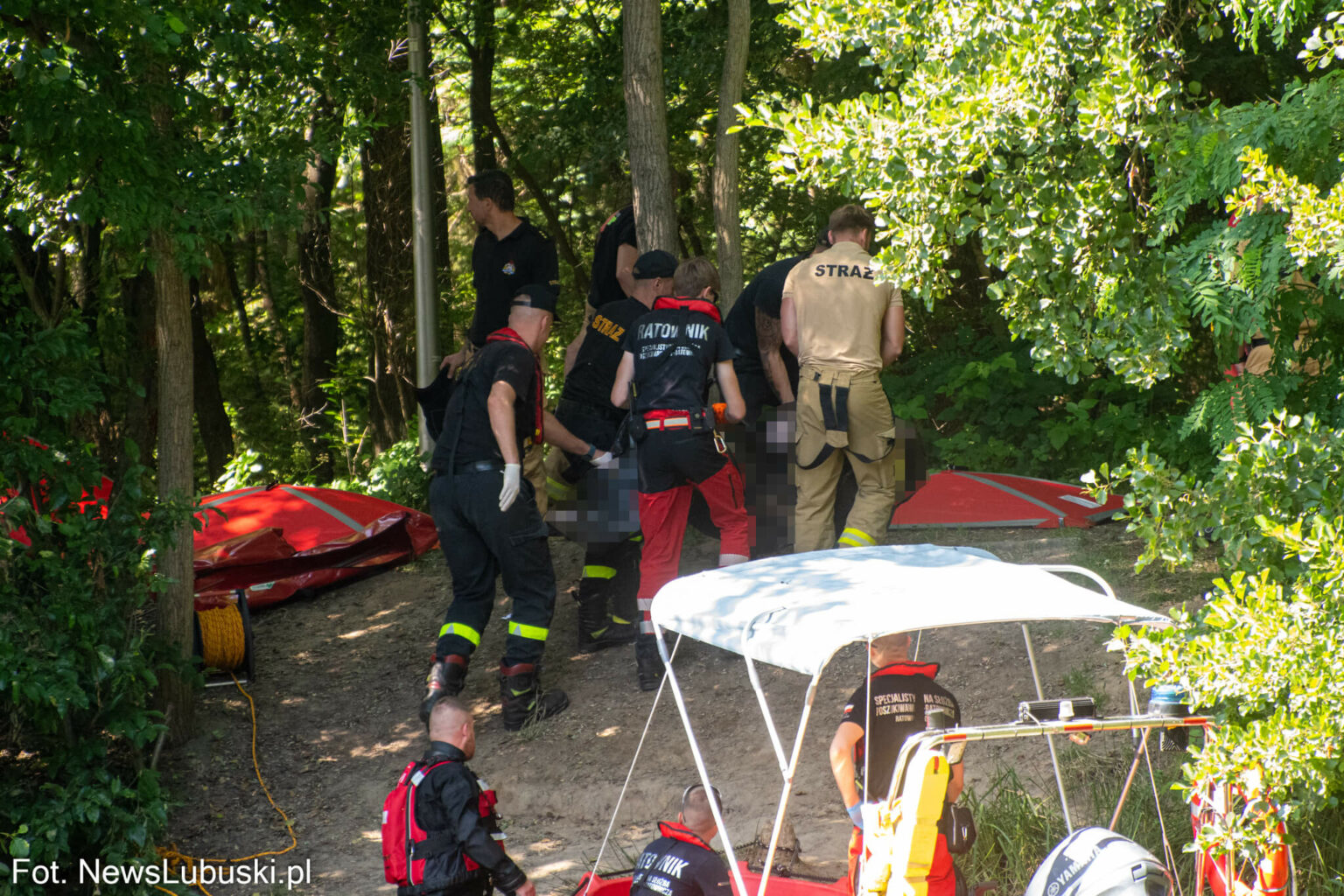 Dzika Ochla Zielona G&oacute;ra - Poszukiwania Zielona G&oacute;ra