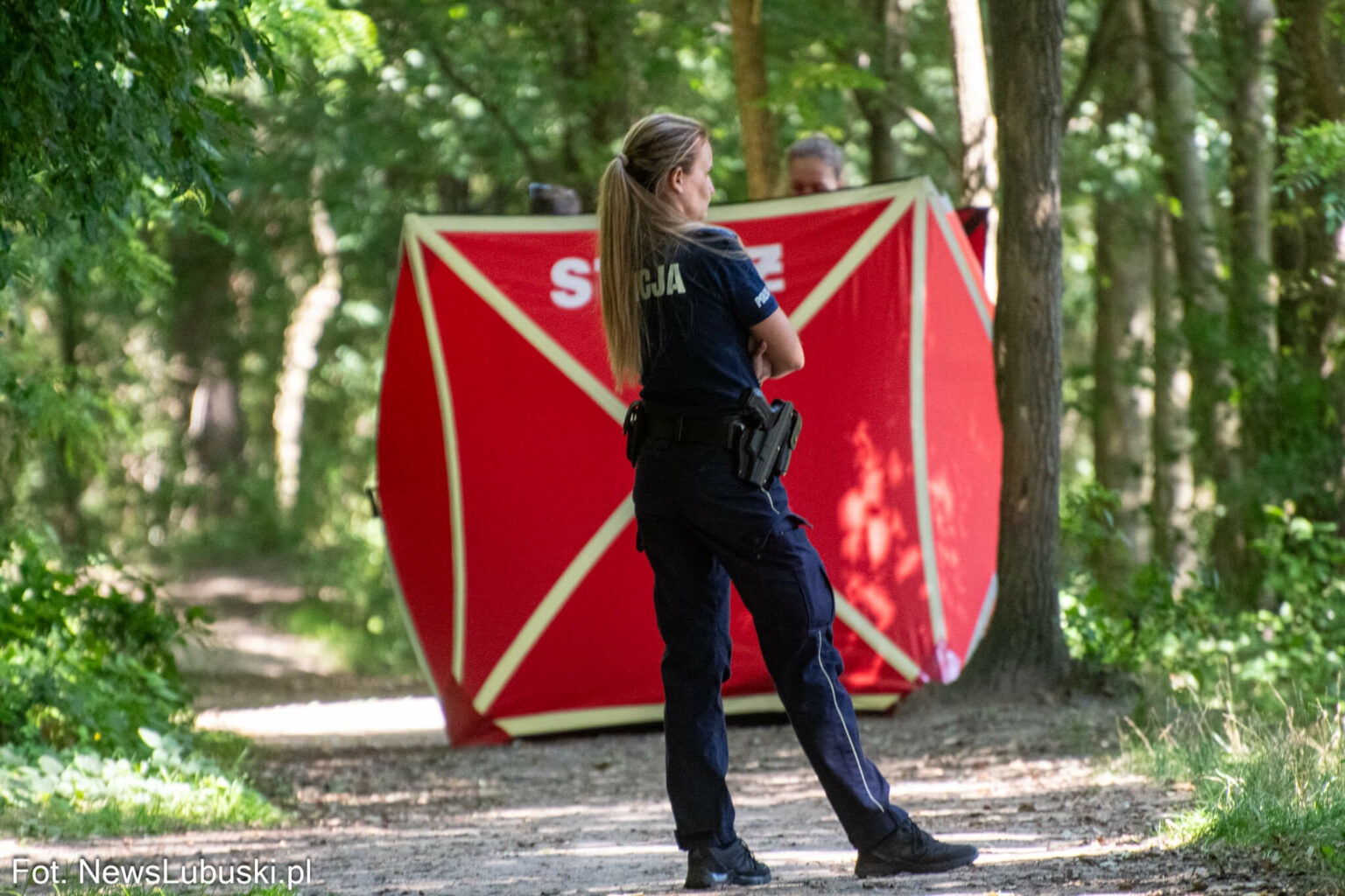 Dzika Ochla Zielona G&oacute;ra - Poszukiwania Zielona G&oacute;ra