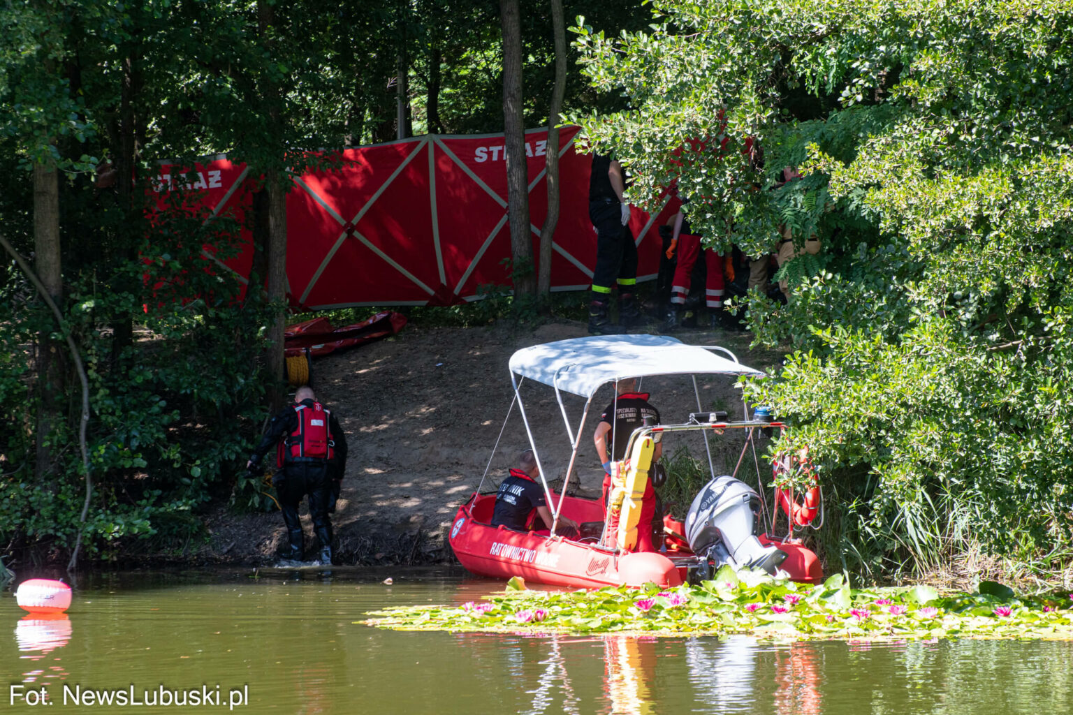 Dzika Ochla Zielona G&oacute;ra - Poszukiwania Zielona G&oacute;ra