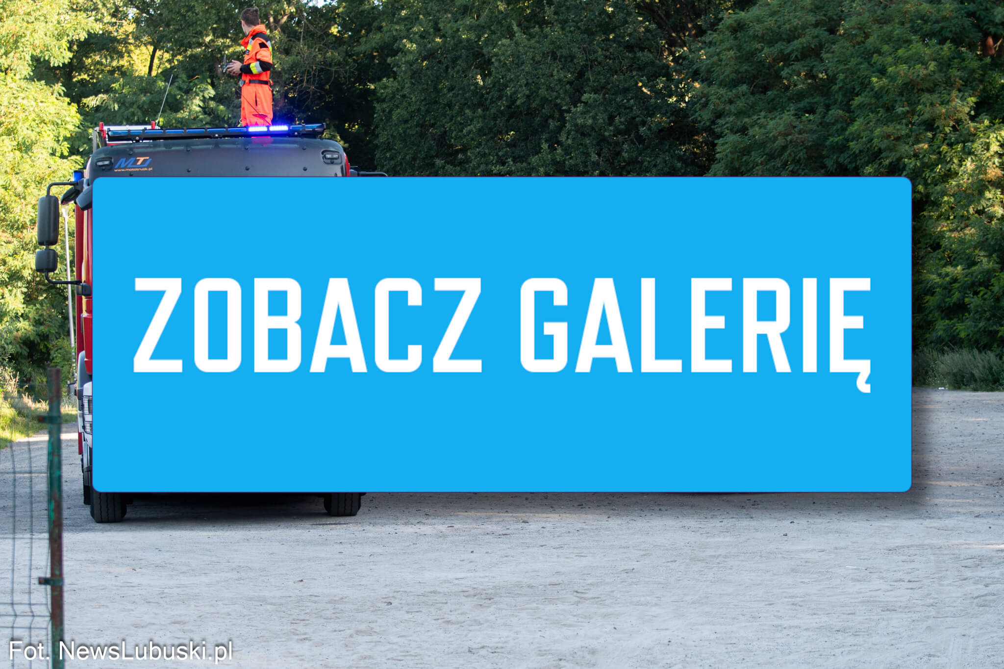 Dzika Ochla Zielona Góra - Poszukiwania Zielona Góra