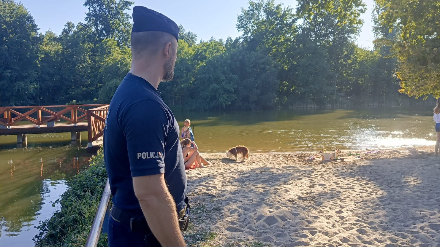 Dzika Ochla Zielona Góra - Policja Zielona Góra