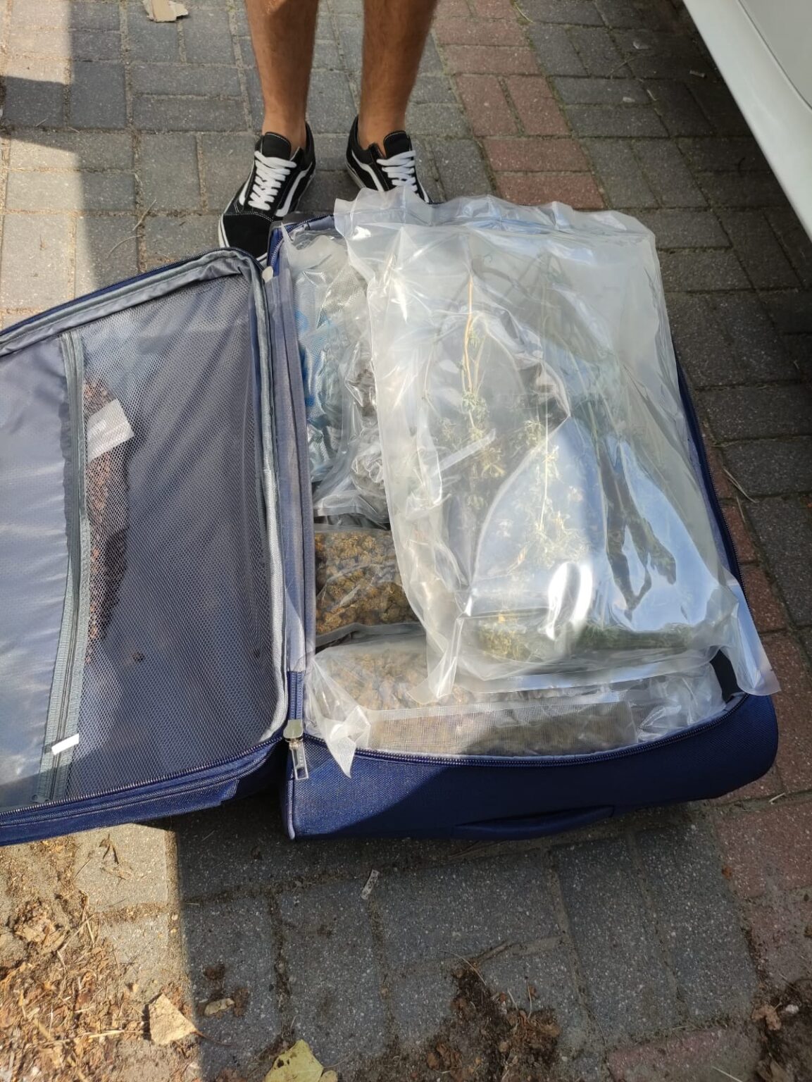 Narkotyki Warszawa&ndash;Berlin Przemyt narkotyk&oacute;w