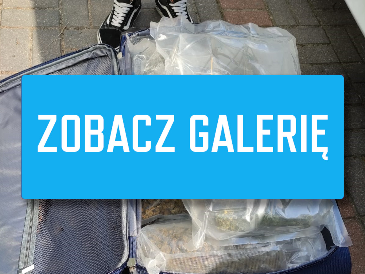 Narkotyki Warszawa–Berlin Przemyt narkotyków