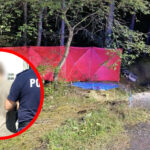 Śmiertelny wypadek DW278 - Wypadek Sława