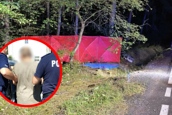 Śmiertelny wypadek na DW278. Kierowca uciekł, teraz jest aresztowany Śmiertelny wypadek DW278 - Wypadek Sława