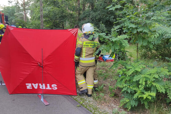 Wypadek Gorzów Wielkopolski - Wypadek Orzelec