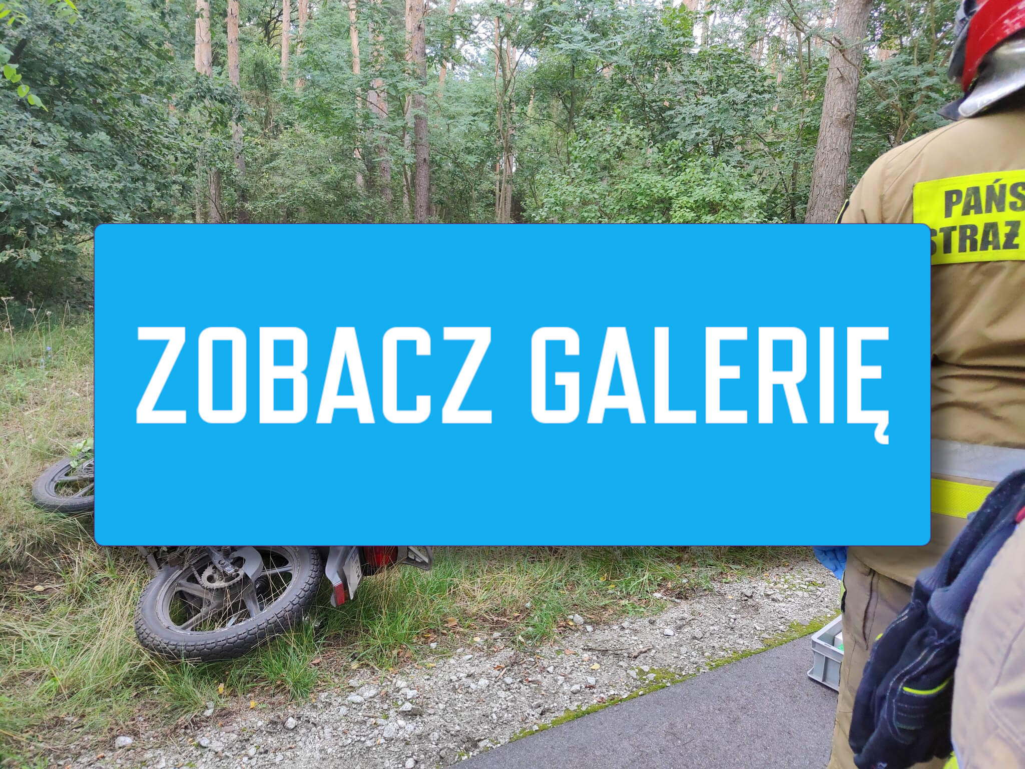 Wypadek Gorzów Wielkopolski - Wypadek Orzelec