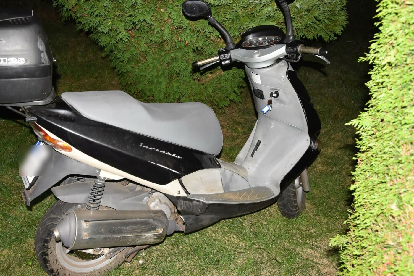 Uderzył w drzewo Zielona Góra - Wypadek Zielona Góra
