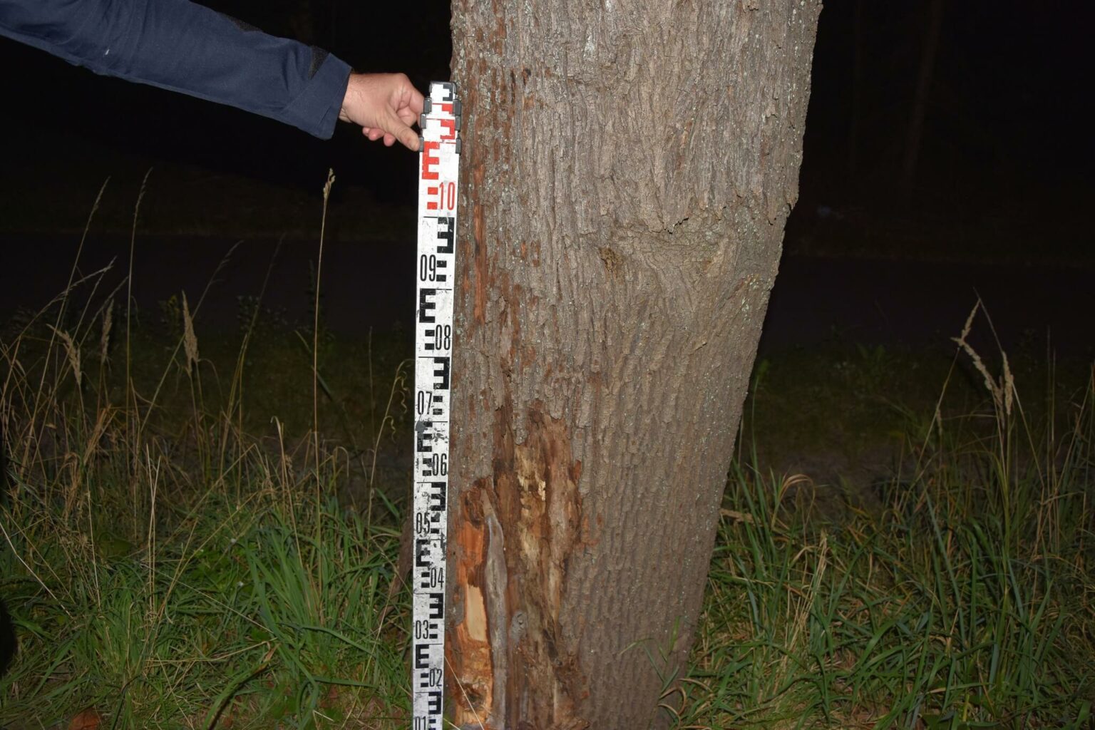 Uderzył w drzewo Zielona G&oacute;ra - Wypadek Zielona G&oacute;ra