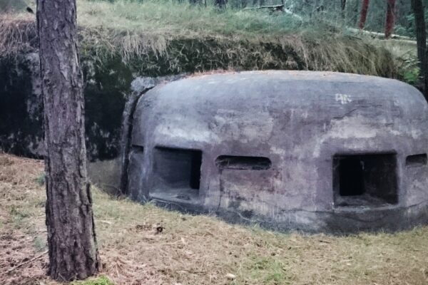 Zapomniane lubuskie fortyfikacje – świadkowie burzliwej historii regionu
