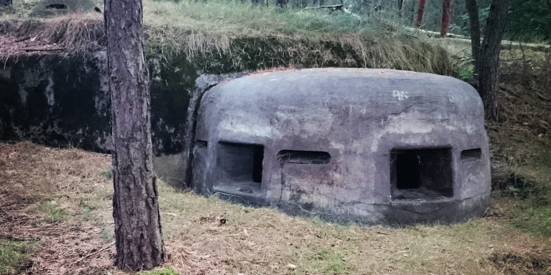 Zapomniane lubuskie fortyfikacje – świadkowie burzliwej historii regionu