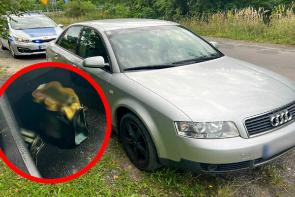 Pijany kierowca Żary - Policja Żary