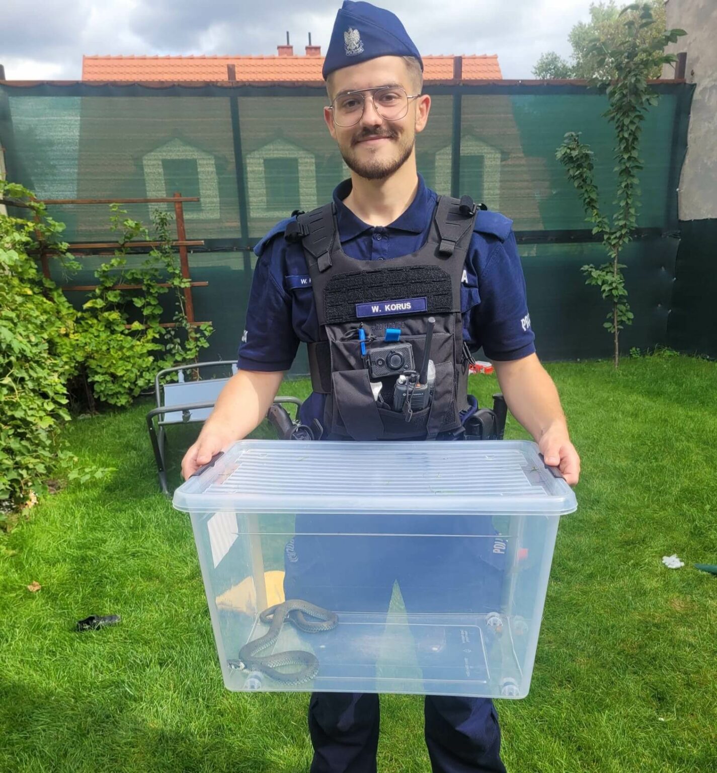 Wąż Zielona G&oacute;ra - Policja Zielona G&oacute;ra