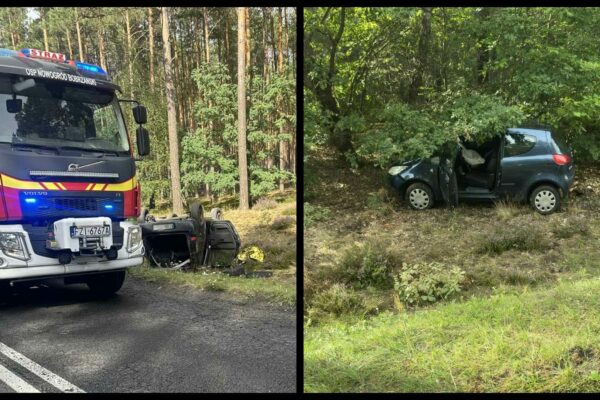 Wypadek na DW295 koło Nowogrodu Bobrzańskiego. Przyleciał śmigłowiec LPR (ZDJĘCIA) Wypadek Nowogród Bobrzański - Wypadek na DW295
