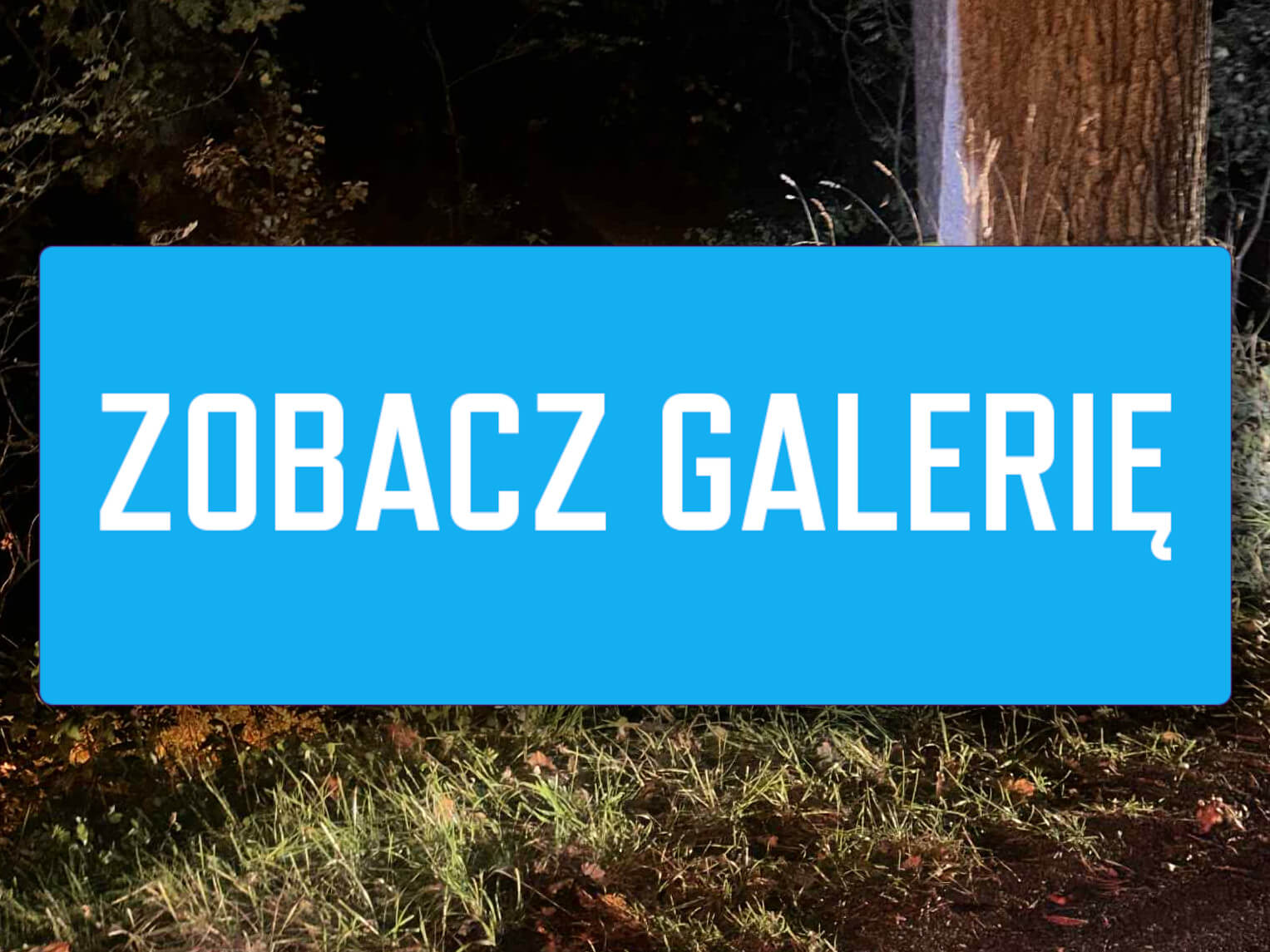 Wypadek Nowogród Bobrzański - Wypadek na DW288 Bogaczów