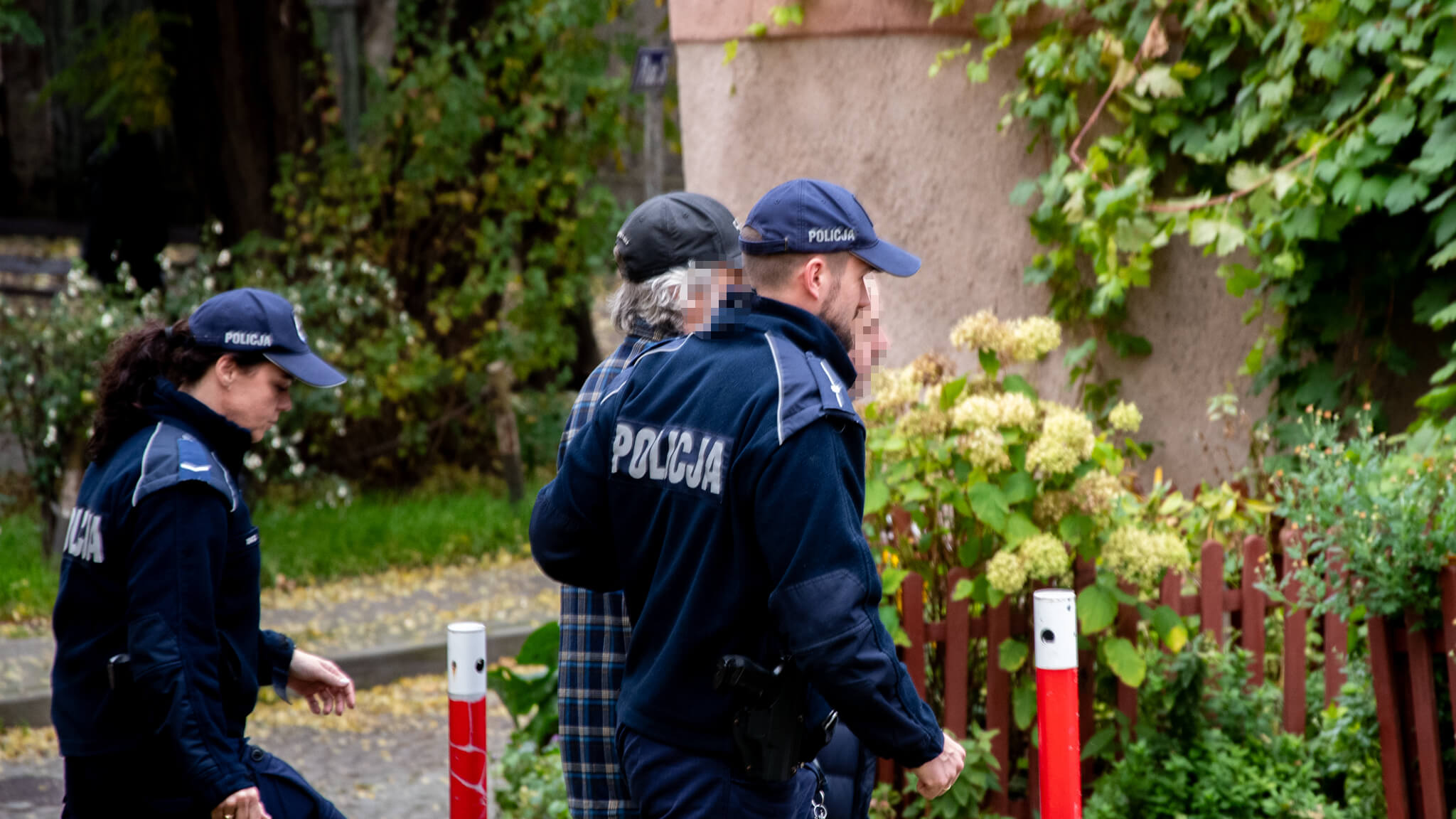 areszt właściciela psów Zielona Góra - Pogryziony przez psy Zielona Góra