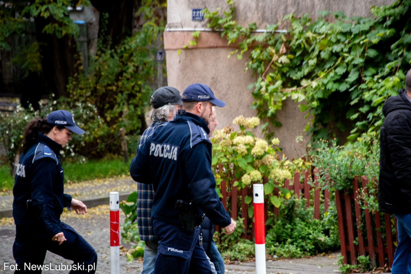 areszt właściciela psów Zielona Góra - Pogryziony przez psy Zielona Góra