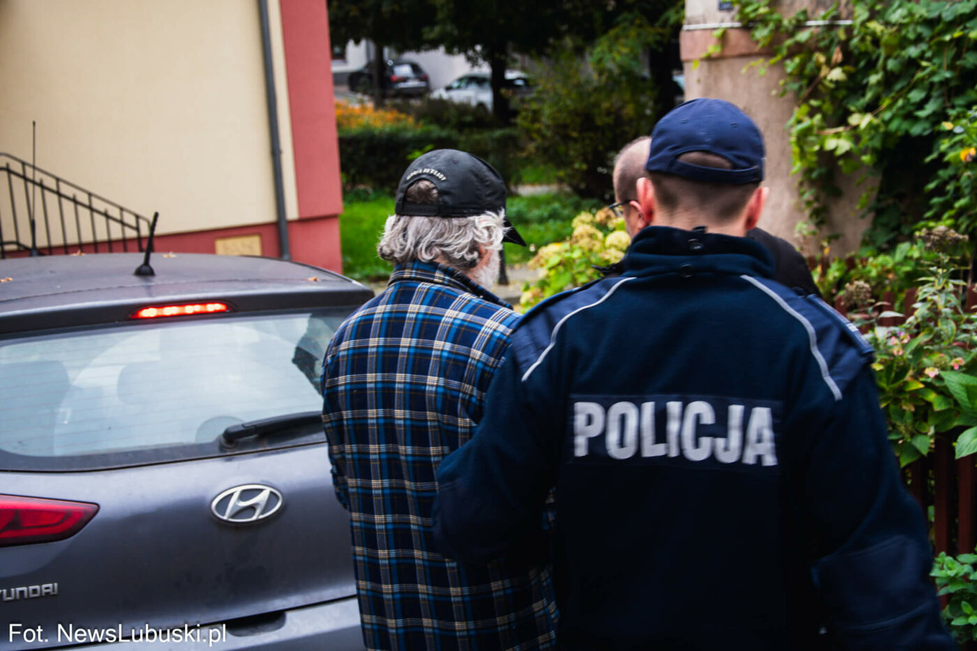 areszt właściciela psów Zielona Góra - Pogryziony przez psy Zielona Góra