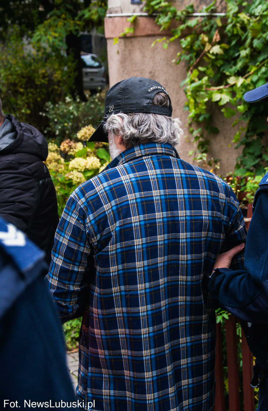 areszt właściciela psów Zielona Góra - Pogryziony przez psy Zielona Góra