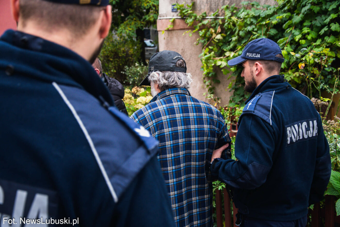 areszt właściciela psów Zielona Góra - Pogryziony przez psy Zielona Góra