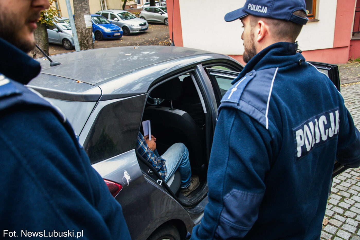 areszt właściciela psów Zielona Góra - Pogryziony przez psy Zielona Góra