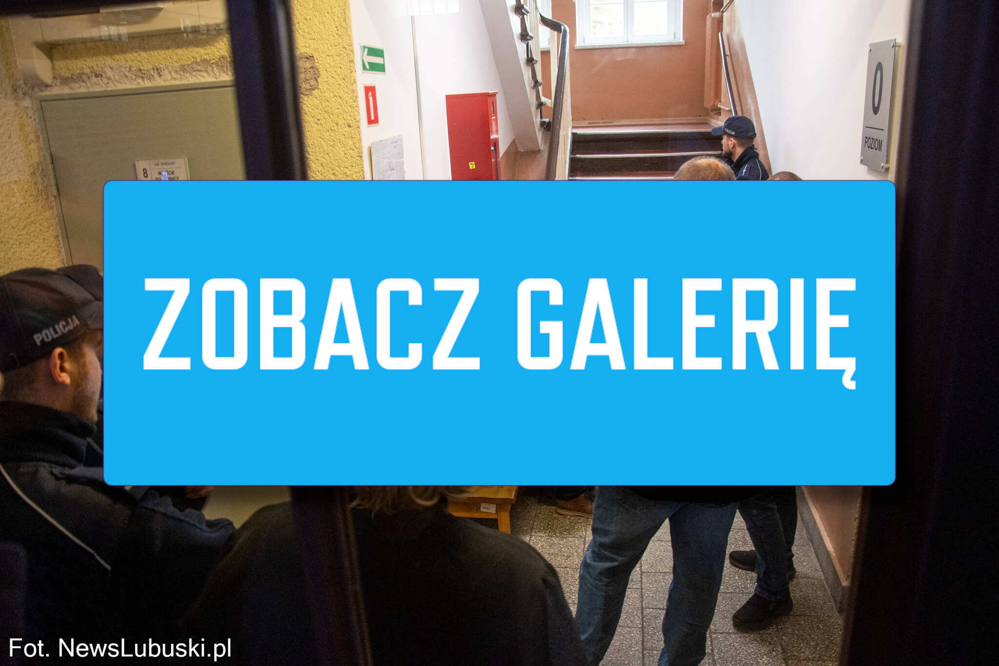 areszt właściciela psów Zielona Góra - Pogryziony przez psy Zielona Góra