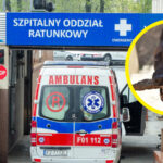 Pogryzienie przez psy Zielona Góra - Strzelnica Racula