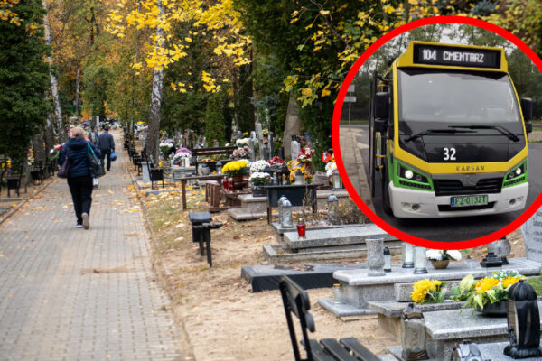 Autobusy na cmentarzu Zielona Góra - linia 104 MZK Zielona Góra