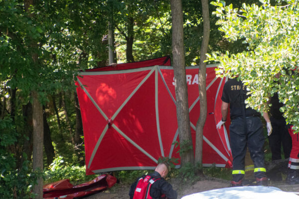 Ciało w lesie koło Kożuchowa. Policja prosi o pomoc w identyfikacji mężczyzny Ciało w lesie Kożuchów - Policja Nowa Sól