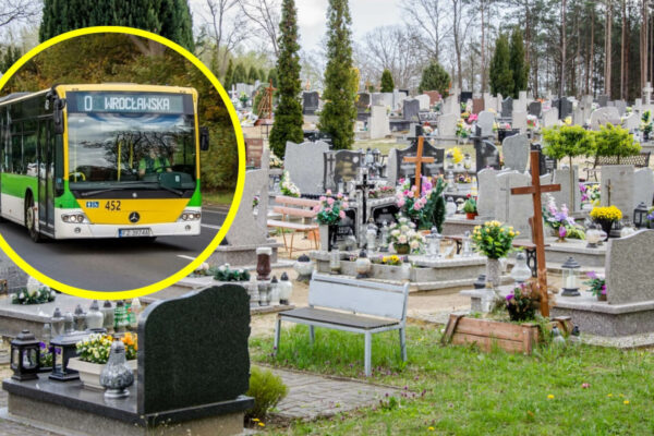 MZK Zielona Góra zwiększa kursy przed Wszystkich Świętych. Zmiany już od soboty MZK Zielona Góra - Wszystkich Świętych Zielona Góra