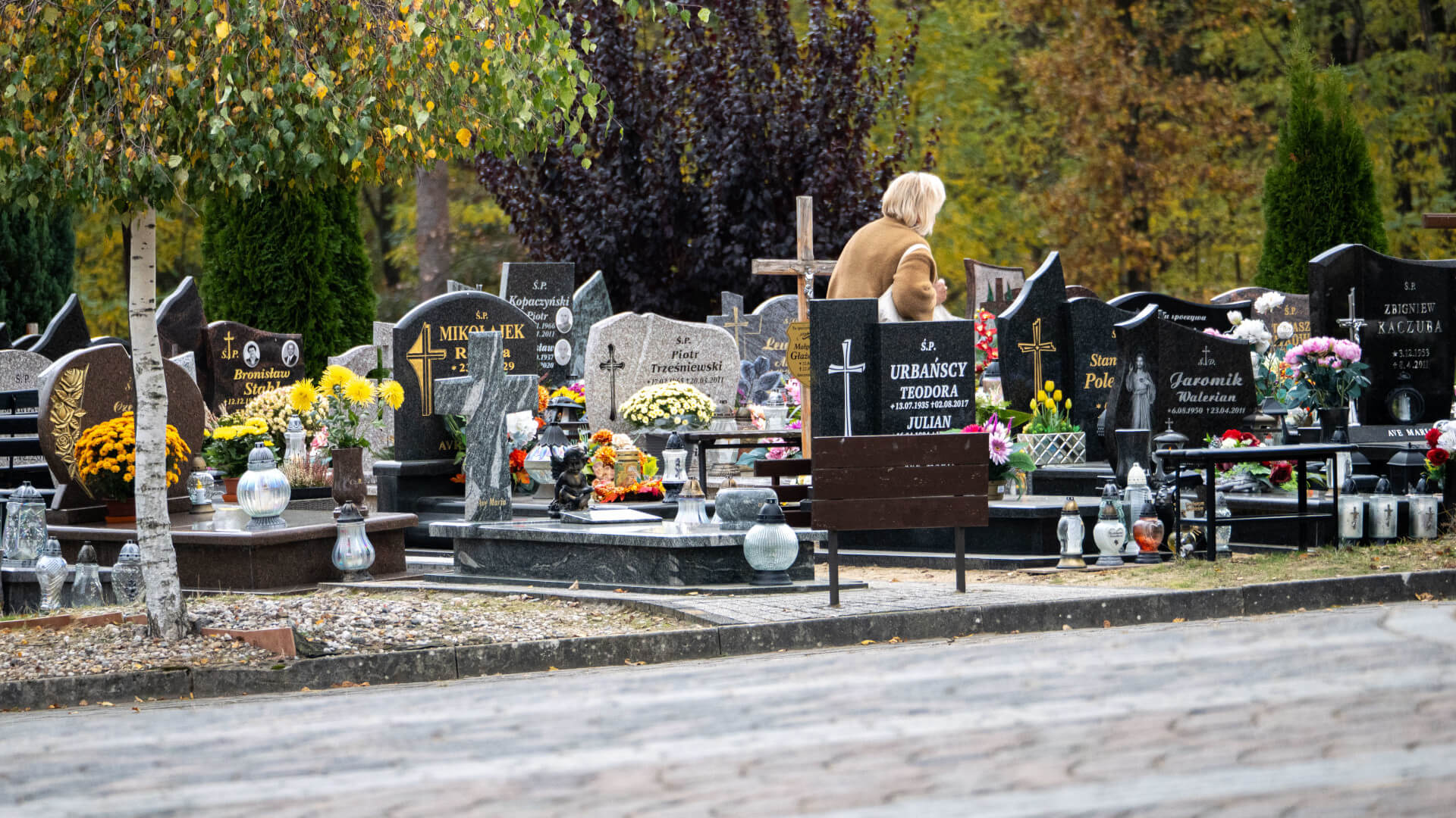 Cmentarz Zielona Góra - Wyszukiwarka grobów online